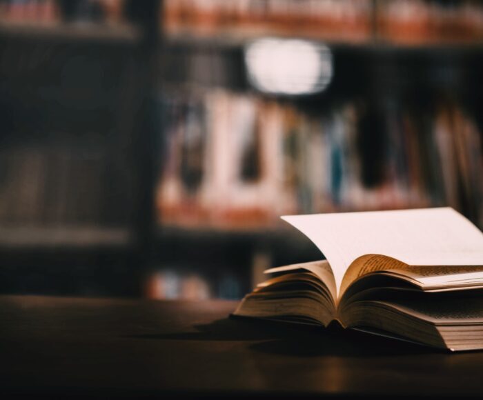 Neue Rechtsformen in Europa Darstellung